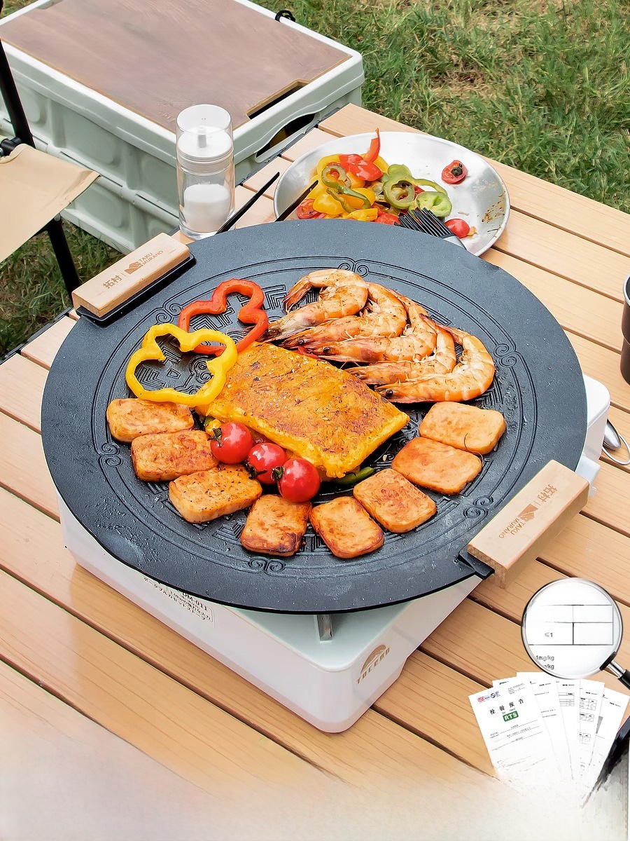 Portable Induction BBQ Grill S - Cooking Outdoor Camping 评论和价格
