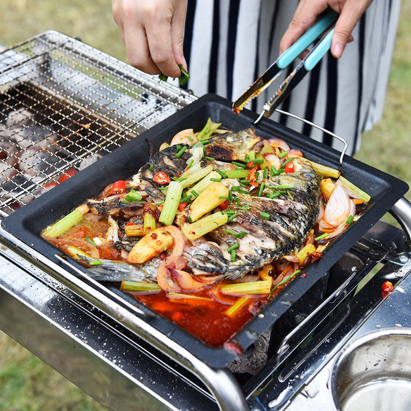 Outdoors Thick Square Grill Pa - Camping Cooking Kitchen 评论和价格