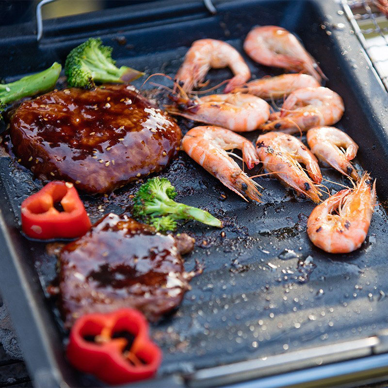 Outdoors Thick Square Grill Pa - Camping Cooking Kitchen 评论和价格
