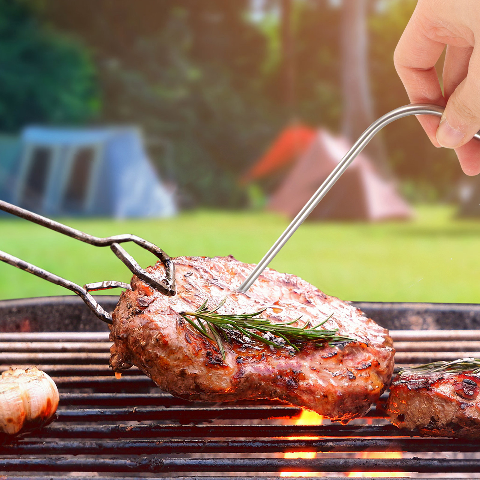 1Set Temperature Probe Kitchen - Meat Thermometer Camp 评论和价格