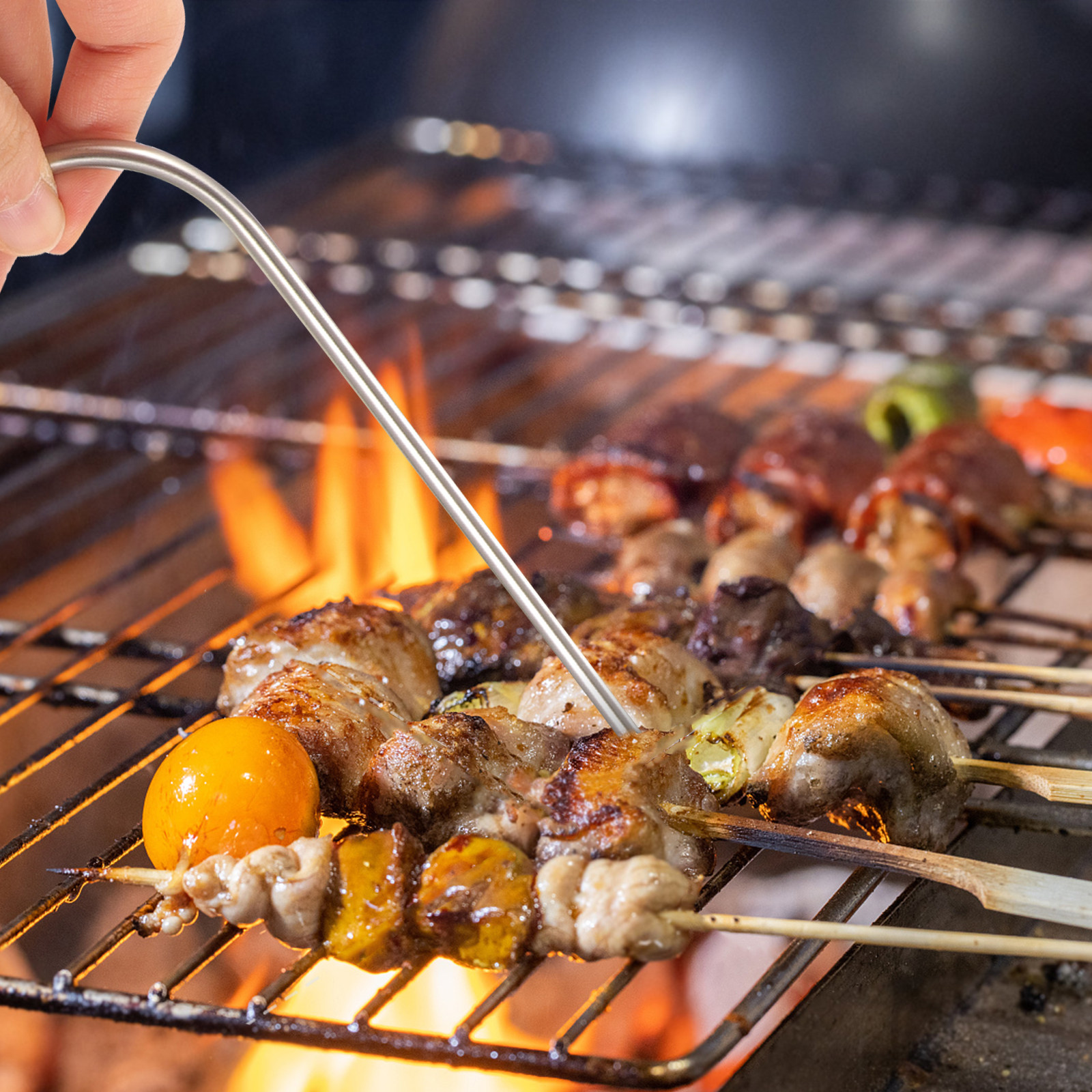 1Set Temperature Probe Kitchen - Meat Thermometer Camp 评论和价格