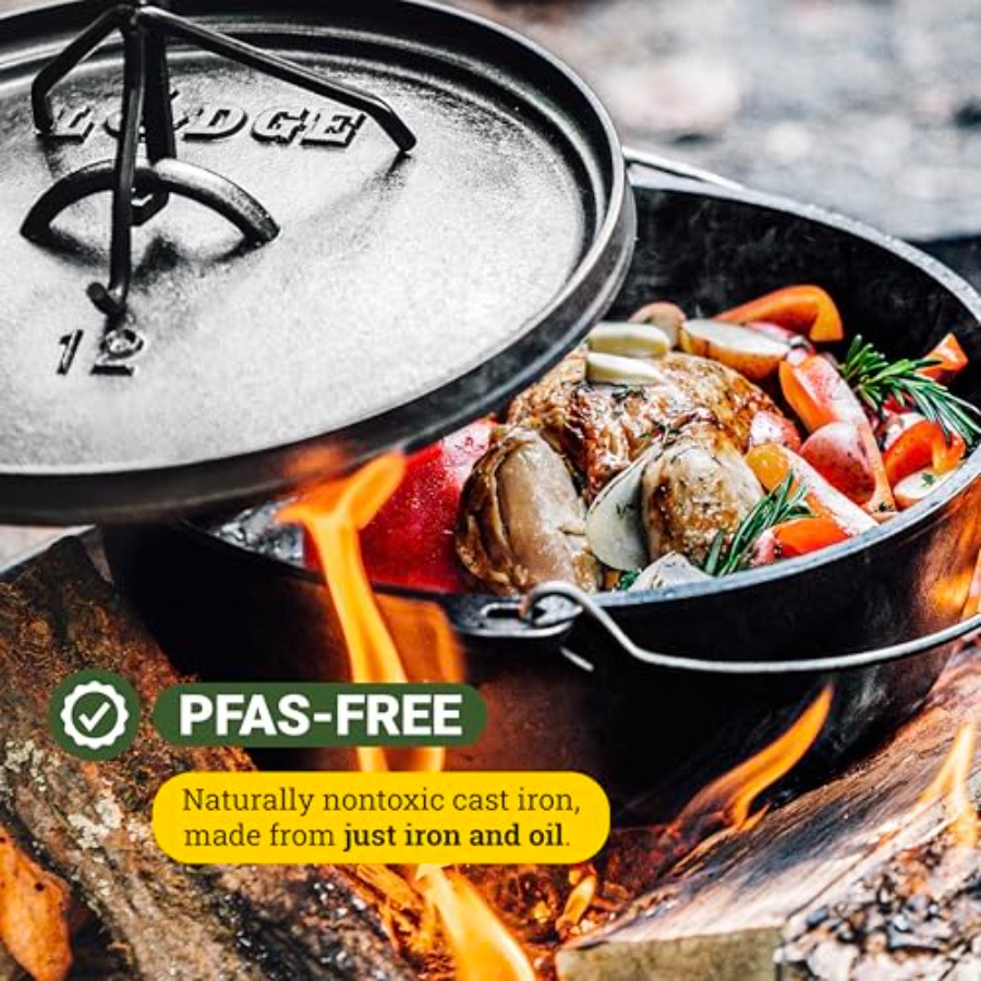 6Quart PreSeasoned Cast Iron C - Camping Cooking Cast Iron 评论和价格