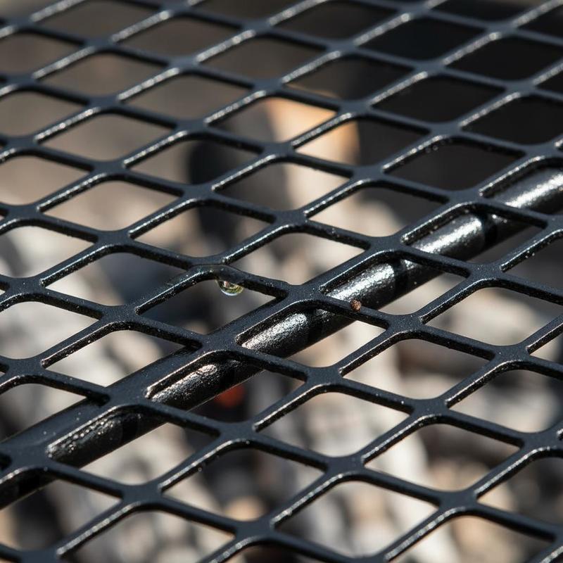 Rotating Cooking Grate 24x24 I - Camping Cooking Cast Iron 评论和价格